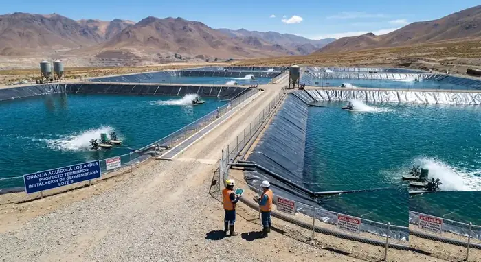 Piscinas de cultivo acuícola impermeabilizadas con geomembrana